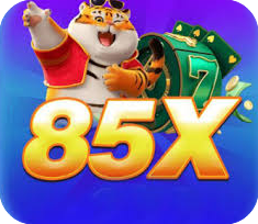 85x.COM
